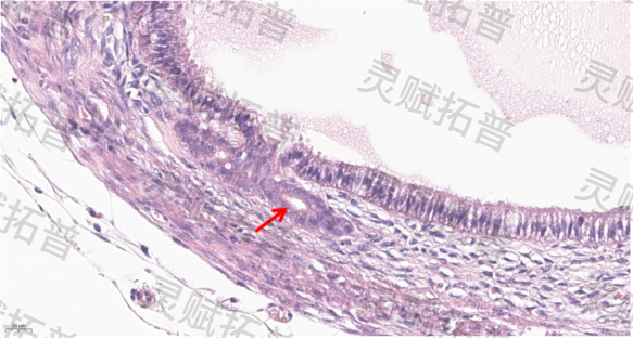 696614ab90cab.png 080370ee-0fef-4c1c-bb60-5aa7cb9fb4fe.png